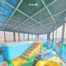 상주 드림키즈풀빌라 이미지
