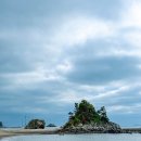 애봉이네 | 충남 태안 바다 펜션 애봉이네 주말 숙박 후기