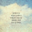 놀멍 이미지
