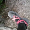 아림유치원 이미지