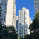 금호아파트 진입로 이미지