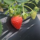 우경농장 이미지