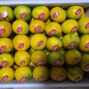 세도농장 이미지