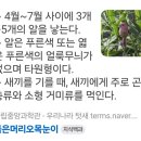 붉은머리오목눈이 둥지 24.6.4 이미지