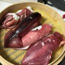강남호 | 부산 기장 낚시 뉴강남호 한치낚시 24.06.26. 조기철수