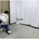 강남연기학원 아임액터 방문 후기