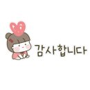 고양이무마취미용 냥지곤지 이미지