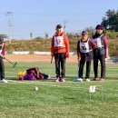 게이트볼 이미지