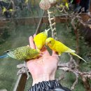 아쿠아리움 | 신세계백화점 대구 아쿠아리움 방문후기