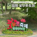 용천사편의점 | 2024년 9월 축제 전남 함평 용천사 꽃무릇축제 첫째날 다녀온 후기
