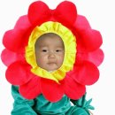 보현 이미지