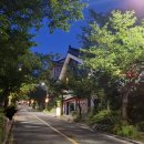 오늘닭발해경주불국사점