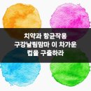 365온가족치과의원 | 치약과 항균작용 구강날림맘마 이 차가운 컵을 구출하라