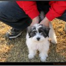 수원-1701 이미지