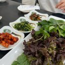 장원쌈밥 | 군위 골프장 근처 맛집｜장원쌈밥 후기｜라운딩 후 든든한 한 끼