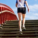 팔머메디스포츠 이미지