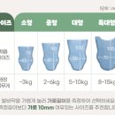베베페페 고고슈즈 강아지 신발 강아지 미끄럼방지 신발 후기