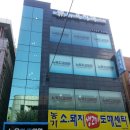 농가소돼지도매 Daum카페