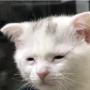 서구-01-10 | No.01 [웨딩홀 계약] 광주 글로리아 웨딩홀 오비도스홀 계약 후기