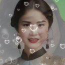 밀양대추 Daum카페