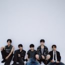 파우