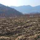 드림스포츠 센터 이미지