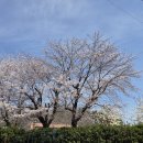 아이그린 안경원 이미지