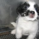 김정복 동물병원 이미지