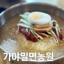 가야밀면농원 | 땡초밀면으로 유명한 가야밀면농원