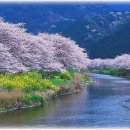 봄이오네 이미지