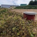 금가면사무소 이미지