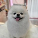 똘이살롱 이미지