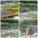 산솔 캠핑장 이미지