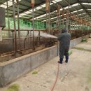 매일축산 이미지