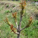 순이농장 이미지