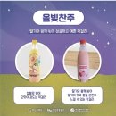 주식회사 올빛