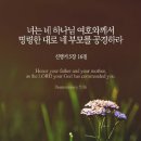 부모사랑주 이미지