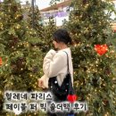 파리스짐 | 헬레네파리스 페이블 퍼 빅 숄더백 후기 겨울 데일리백 퍼가방 추천