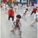 아리랑 태권도 이미지