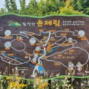 산골짜기 영농조합법인 이미지