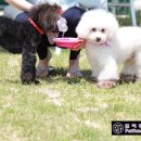 쁘띠몽