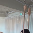 [위아요가/아차산역 요가]전굴과 후굴, 척추 건강을 위해 둘 다 중요한 이유 이미지