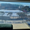 디비베스