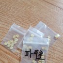 파주초등학교 이미지