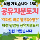 토지 | '충북 제천시 왕암동'공유지분토지 임장