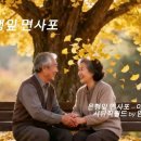은행잎 면사포 이미지