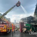 대원청과 이미지