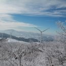 신사거리 버스정류장 이미지
