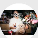 야탑포토 | 야탑포토(야탑역 사진인화/코닥/일회용필카/분당 필카현상소)