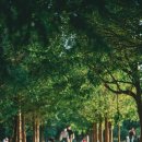 아이펫 동물병원 이미지